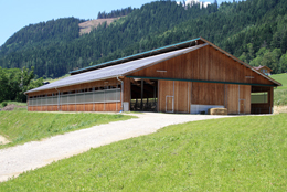 Possenhof mit Stall in Schladming